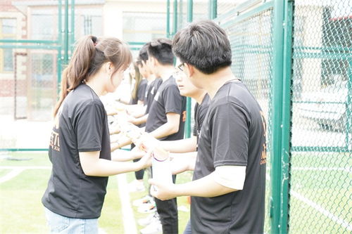 天津企业拓展训练与名航企业管理咨询服务的协同增效